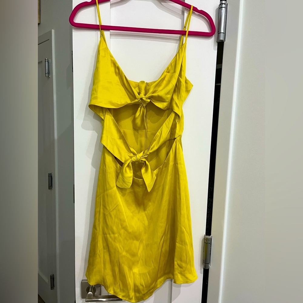 Lovers & Friends Nate Mini Dress